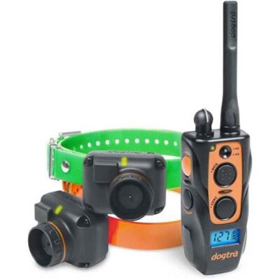 COLLIER DE DRESSAGE DOGTRA 2602T&B Collier De Dressage Dogtra 2602T&B